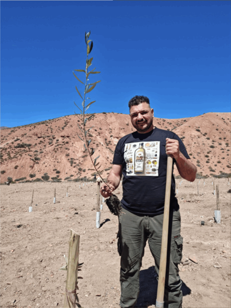 Gabriel Guardia plantando un olivo en una finca de Mendoza